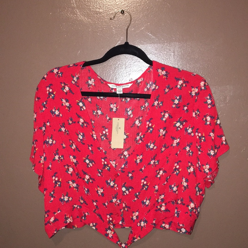 American Eagle Floral Crop Top